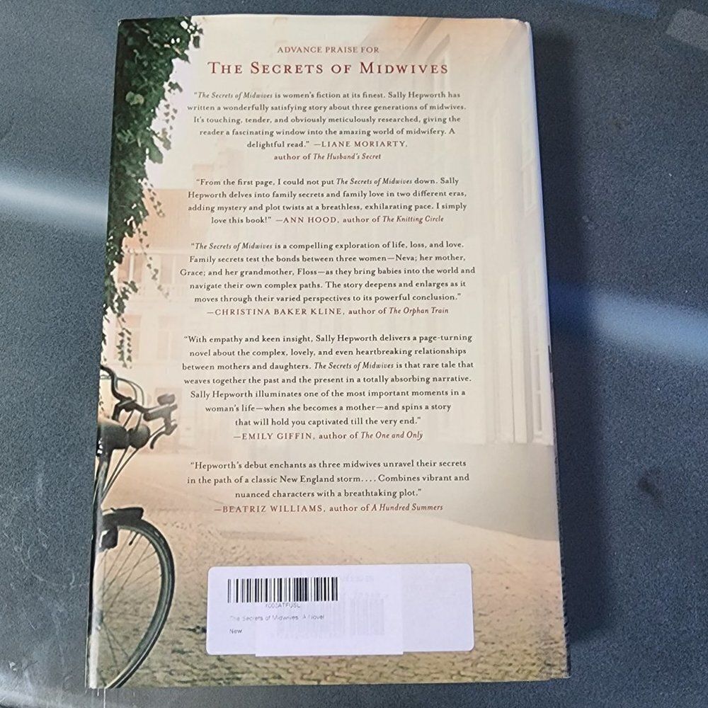 The Secrets of Midwives: A Novel Hardcover - Picture 2 of 3